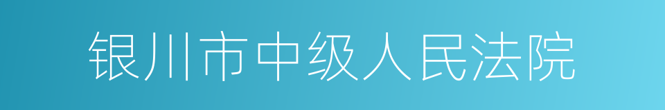 银川市中级人民法院的同义词