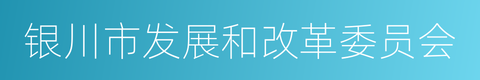 银川市发展和改革委员会的同义词