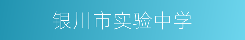 银川市实验中学的同义词