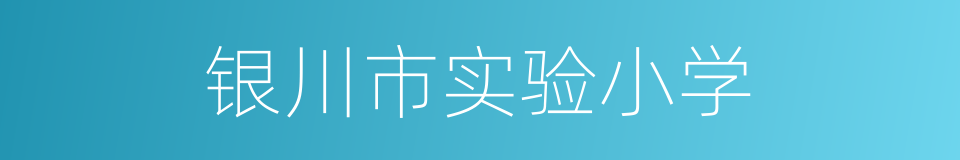 银川市实验小学的同义词