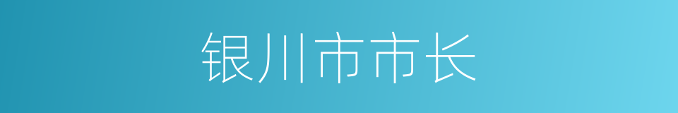 银川市市长的同义词