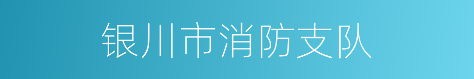 银川市消防支队的同义词