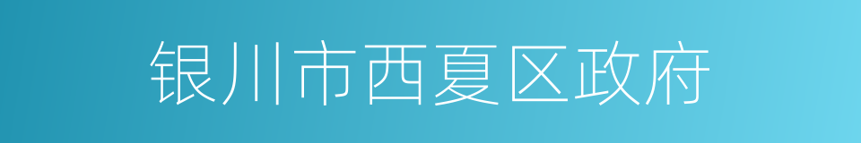 银川市西夏区政府的同义词