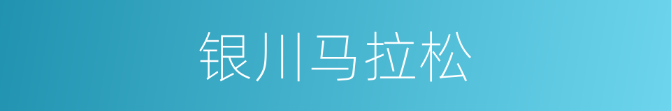 银川马拉松的同义词