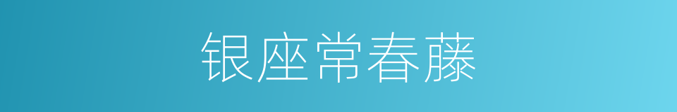 银座常春藤的同义词