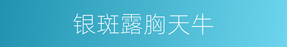银斑露胸天牛的同义词