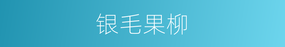 银毛果柳的同义词