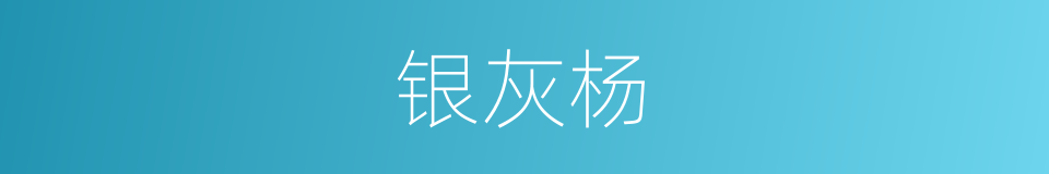 银灰杨的同义词
