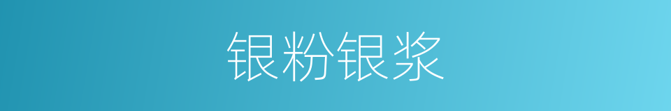 银粉银浆的同义词
