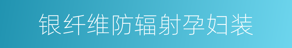 银纤维防辐射孕妇装的同义词