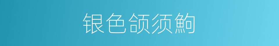 银色颌须鮈的同义词