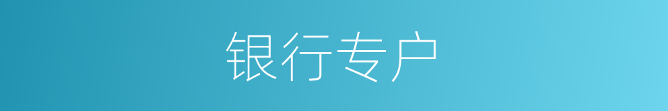 银行专户的同义词