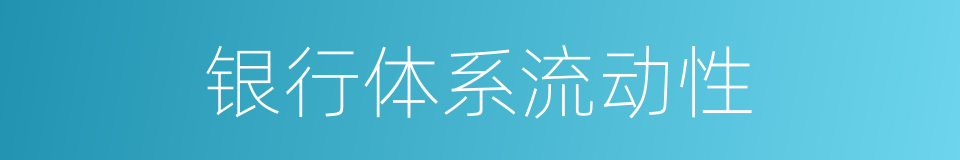 银行体系流动性的同义词