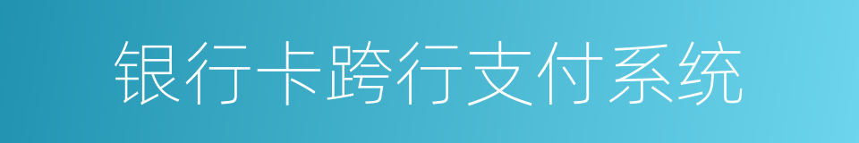 银行卡跨行支付系统的同义词