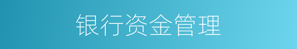 银行资金管理的同义词