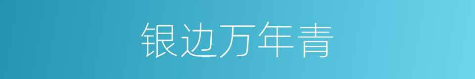银边万年青的同义词
