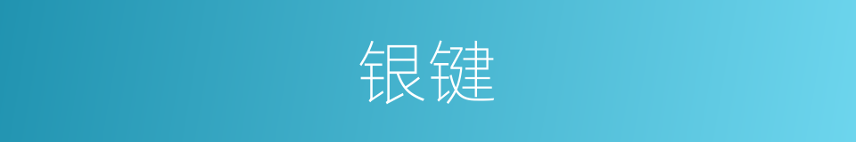 银键的同义词