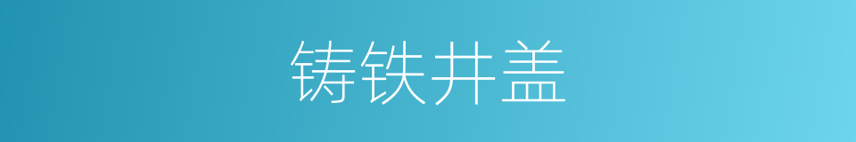 铸铁井盖的同义词