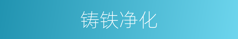 铸铁净化的同义词