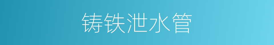 铸铁泄水管的同义词
