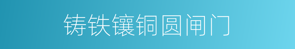 铸铁镶铜圆闸门的同义词
