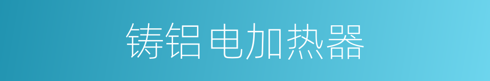铸铝电加热器的同义词