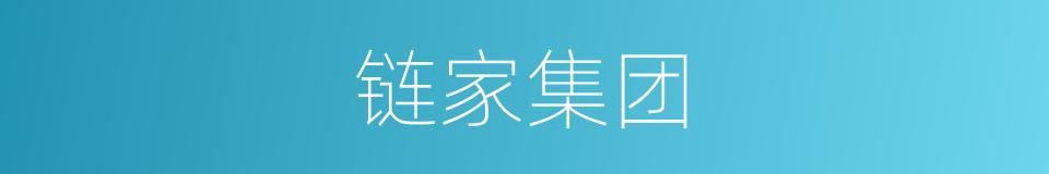 链家集团的同义词