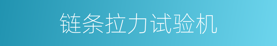 链条拉力试验机的同义词