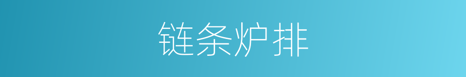 链条炉排的同义词