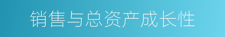 销售与总资产成长性的同义词