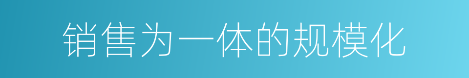 销售为一体的规模化的同义词