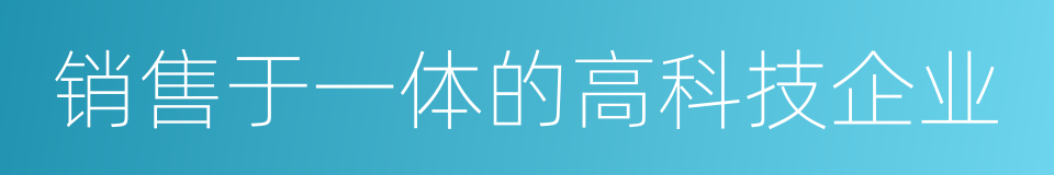 销售于一体的高科技企业的同义词