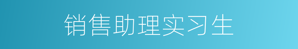 销售助理实习生的同义词