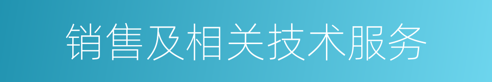 销售及相关技术服务的同义词