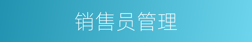 销售员管理的同义词