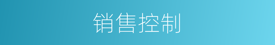 销售控制的同义词