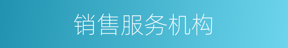 销售服务机构的同义词