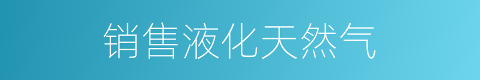 销售液化天然气的同义词