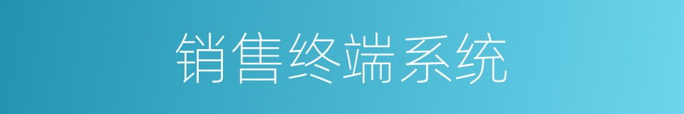 销售终端系统的同义词