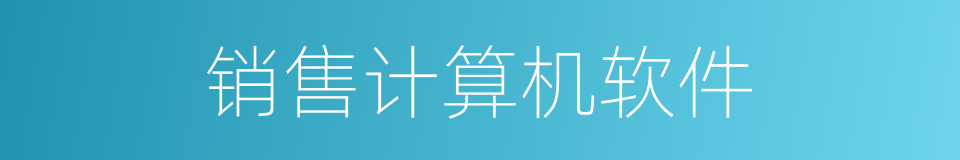 销售计算机软件的同义词