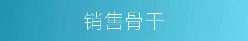 销售骨干的同义词