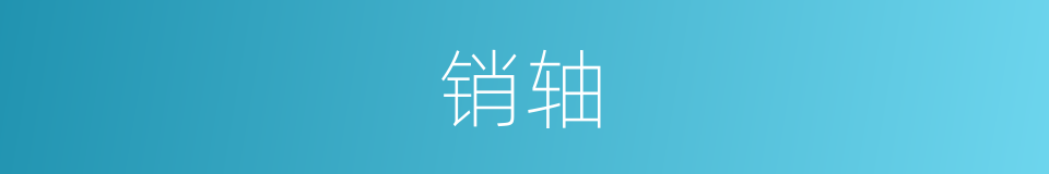 销轴的意思
