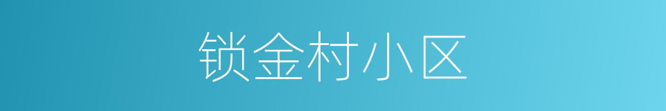 锁金村小区的同义词