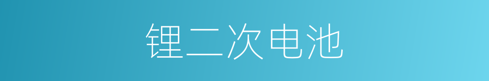 锂二次电池的同义词