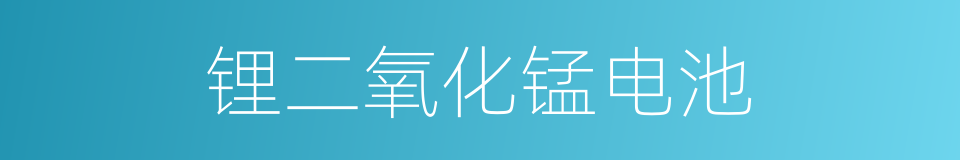 锂二氧化锰电池的同义词