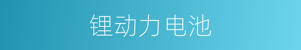 锂动力电池的同义词