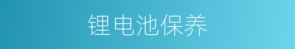 锂电池保养的同义词