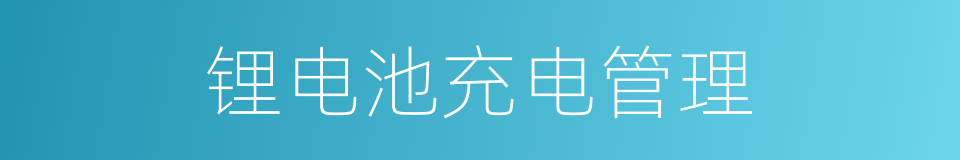 锂电池充电管理的同义词