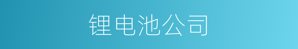 锂电池公司的同义词