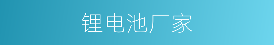 锂电池厂家的同义词